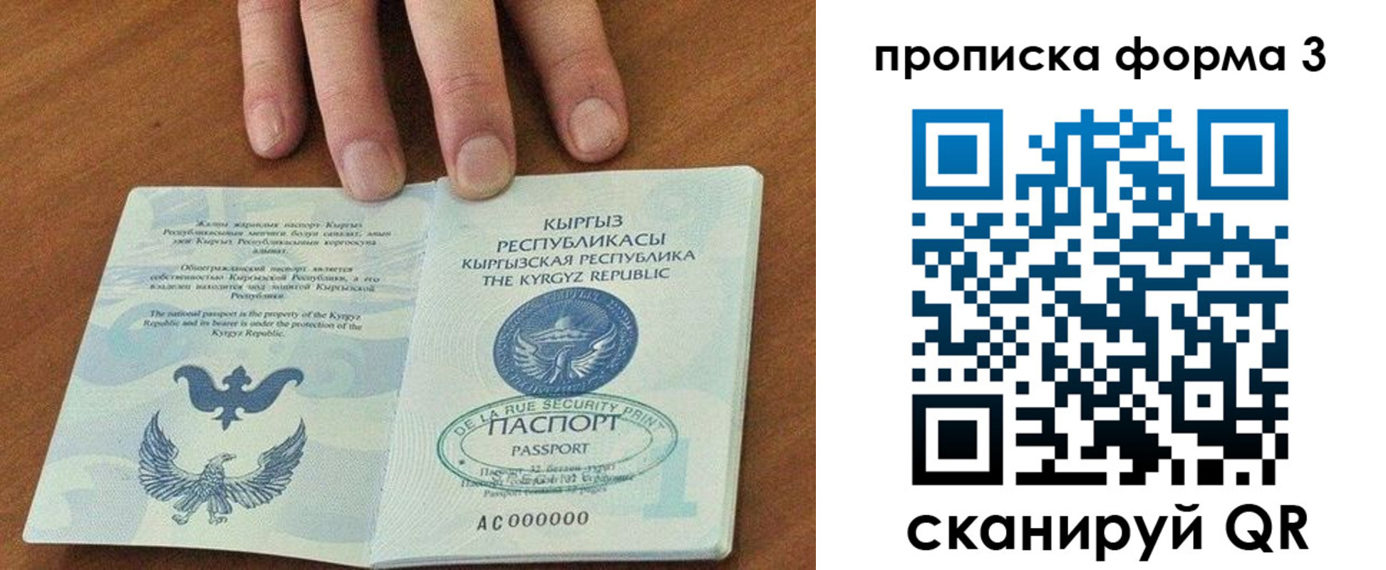 прописка 2025 в Ульяновской области